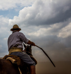 gaucho dust (1 of 1)