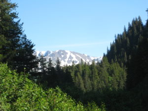 img_0729