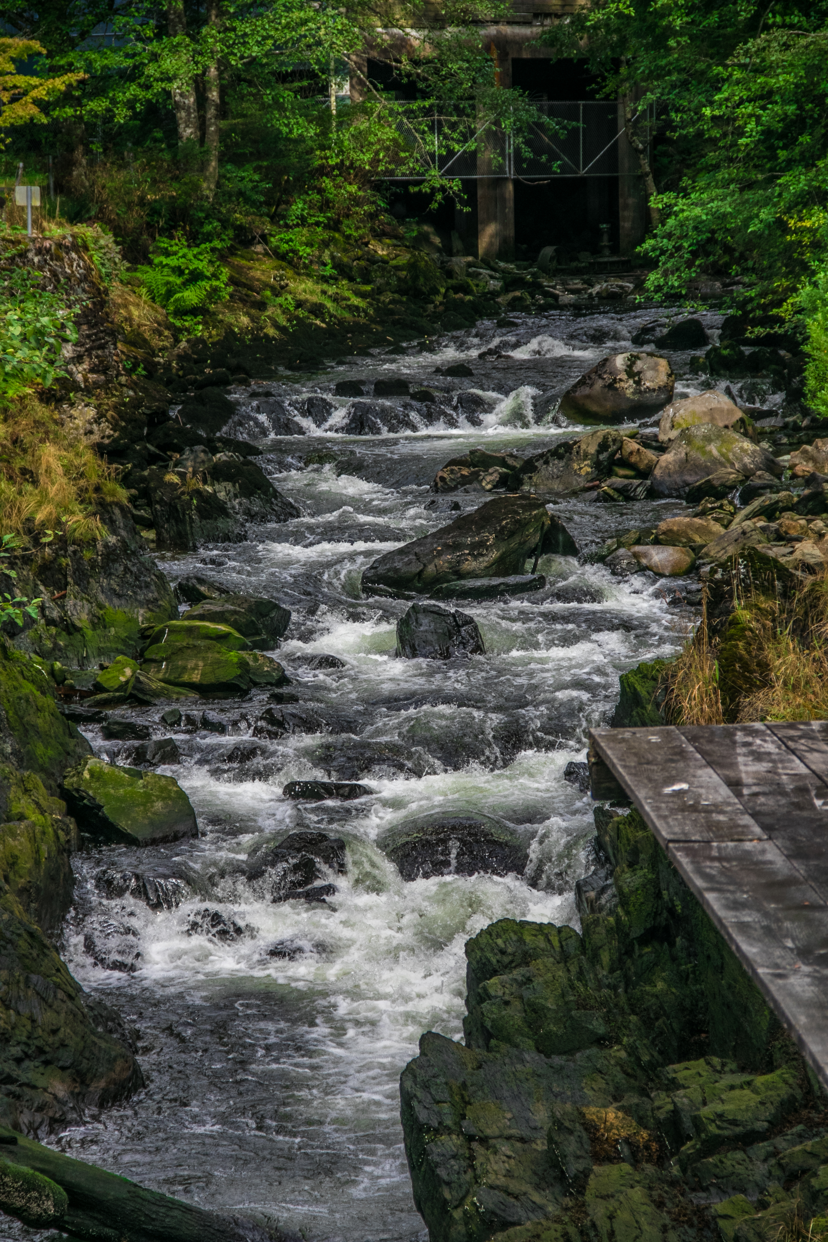 Ketchikan-100.jpg